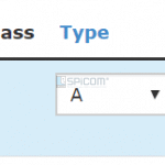 wildcard dns